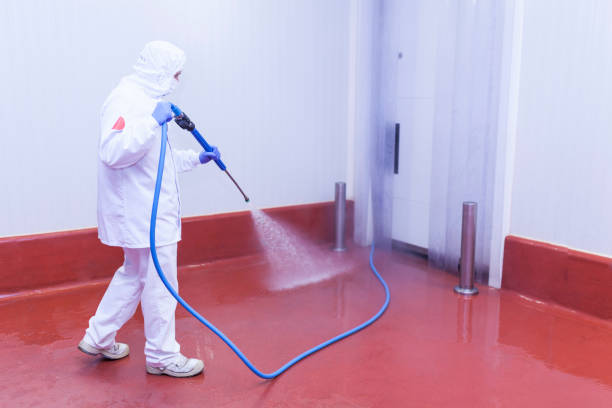 Professional Pressure Washing in West Monroe, LA