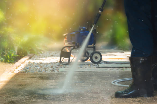 Animal Enclosure Cleaning in West Monroe, LA